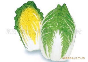 萊蕪市萊城區(qū)潤宇農副產品購銷站 連接田間與餐桌的綠色橋梁